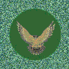falcon1.gif (4246 bytes)