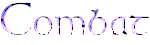 Combat System