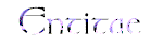 Entitae